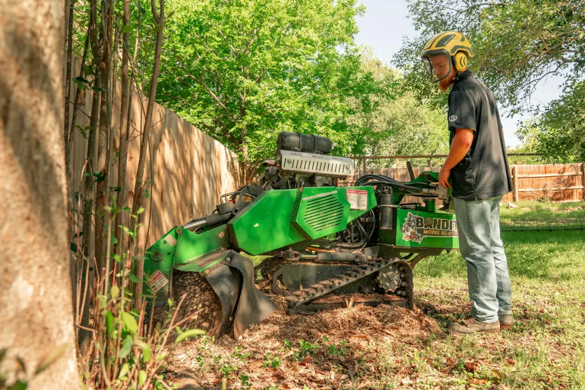 Worker operating a stump grinder used as contextual stump-service imagery